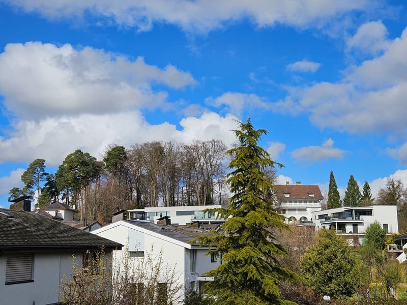 3,5 bzw. 4,5 Zimmer Reihen-Eck-Einfamilienhaus top Zustand (108 m2) mit grosser Gartenanlage (17)