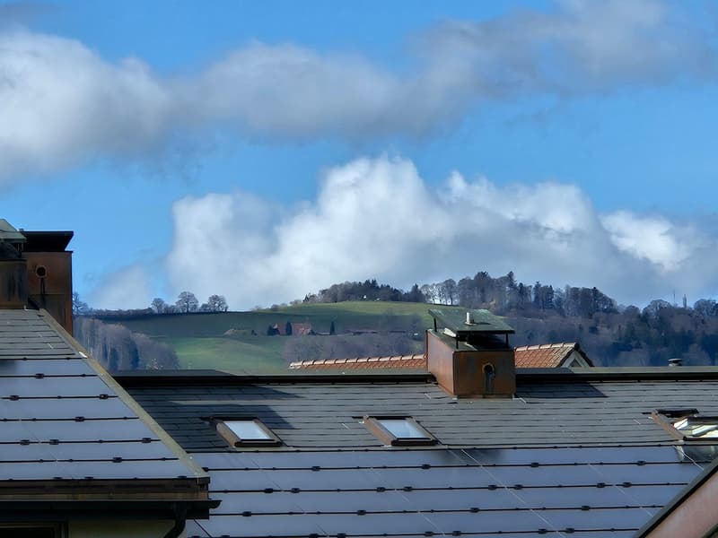 3,5 bzw. 4,5 Zimmer Reihen-Eck-Einfamilienhaus top Zustand (108 m2) mit grosser Gartenanlage (16)