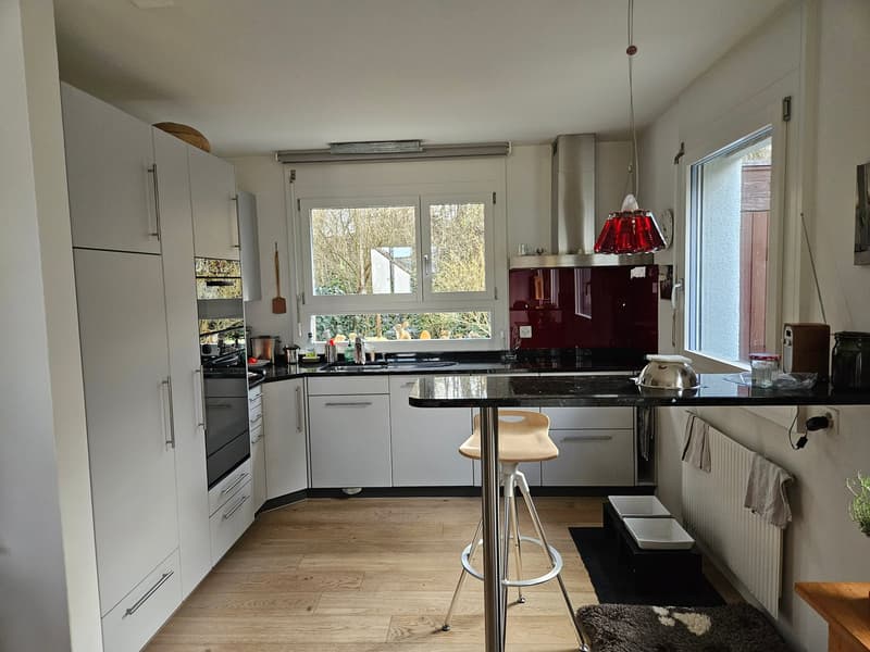 3,5 bzw. 4,5 Zimmer Reihen-Eck-Einfamilienhaus top Zustand (108 m2) mit grosser Gartenanlage (5)
