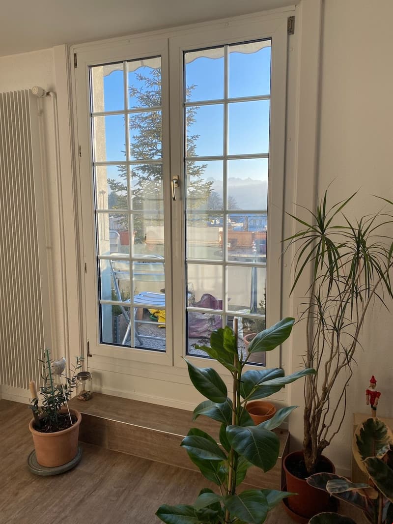 Grosse, heimelige 3,5 Zimmer Dachwohnung mit Balkon (11)