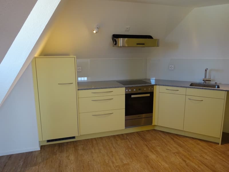 Grosse, heimelige 3,5 Zimmer Dachwohnung mit Balkon (7)