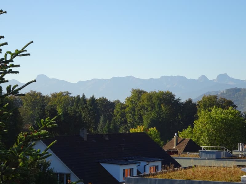 Grosse, heimelige 3,5 Zimmer Dachwohnung mit Balkon (5)