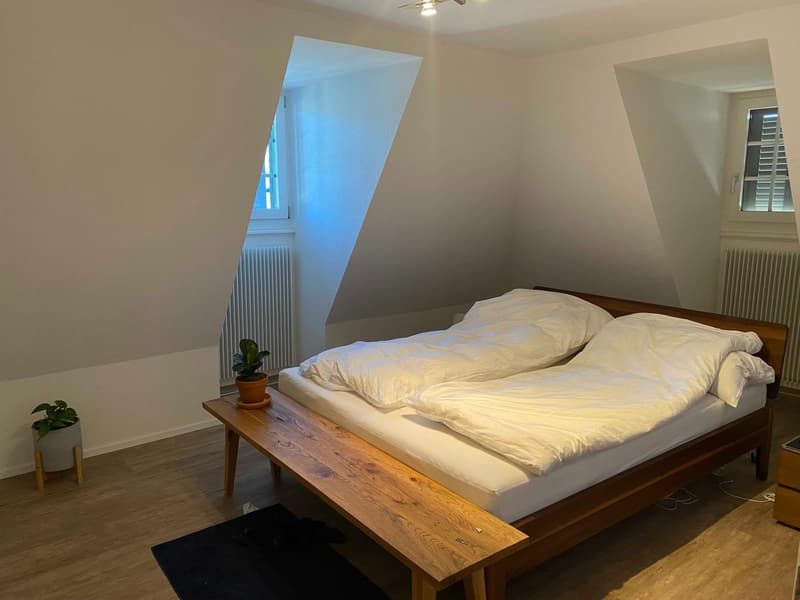 Grosse, heimelige 3,5 Zimmer Dachwohnung mit Balkon (3)