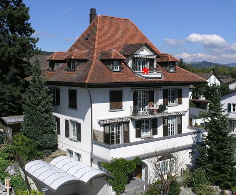 Grosse, heimelige 3,5 Zimmer Dachwohnung mit Balkon (12)