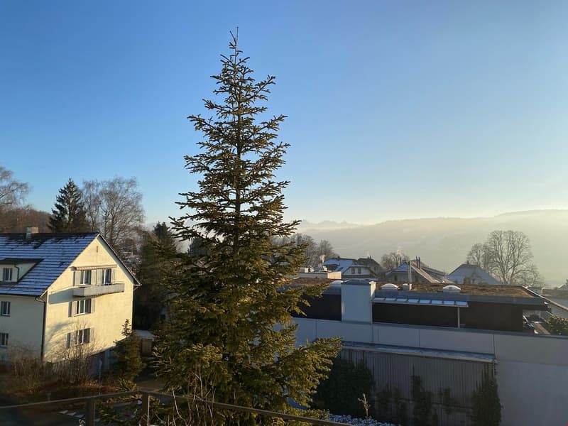 Grosse, heimelige 3,5 Zimmer Dachwohnung mit Balkon (13)