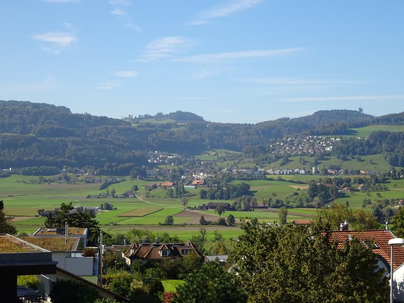 Grosse, heimelige 3,5 Zimmer Dachwohnung mit Balkon (6)