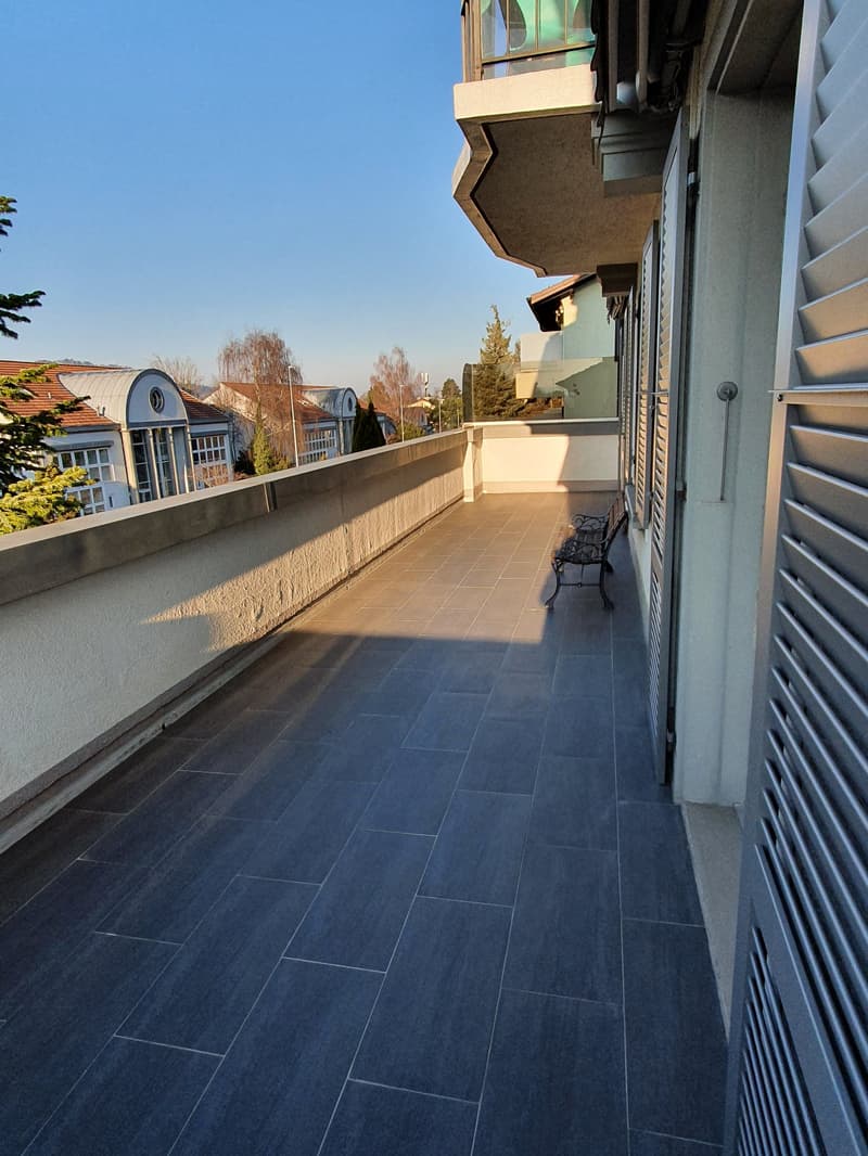 Sonnige, grosse 3 1/2- Zimmer-Wohnung mit Terrasse (11)