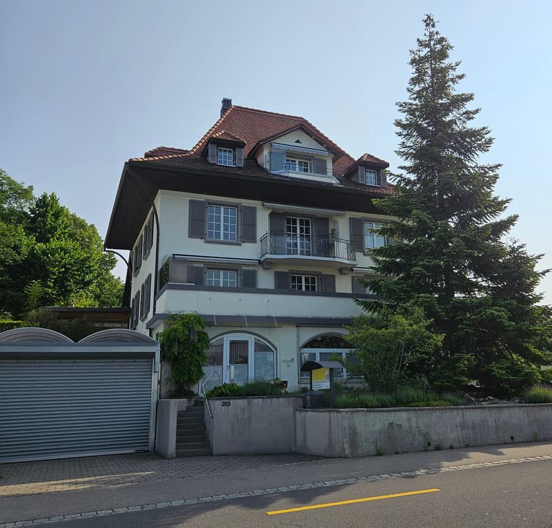 Sonnige, grosse 3 1/2- Zimmer-Wohnung mit Terrasse (3)