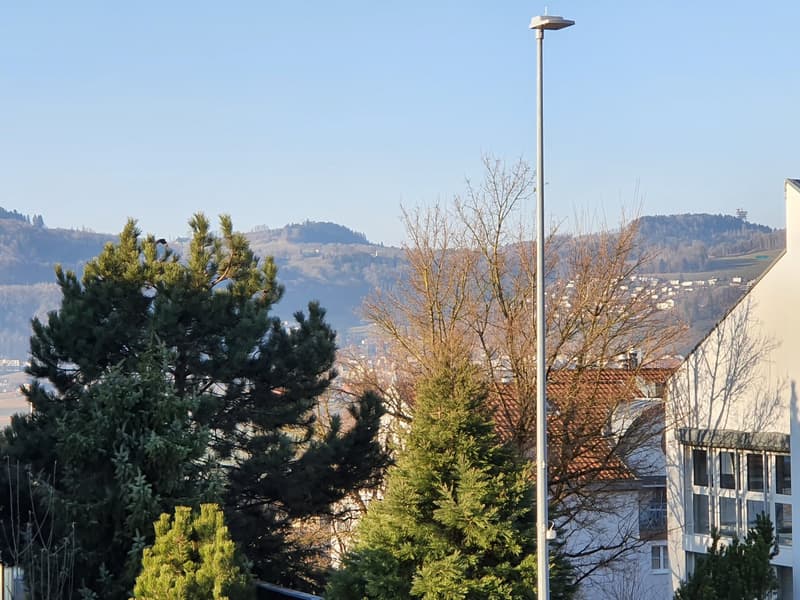 Sonnige, grosse 3 1/2- Zimmer-Wohnung mit Terrasse (14)