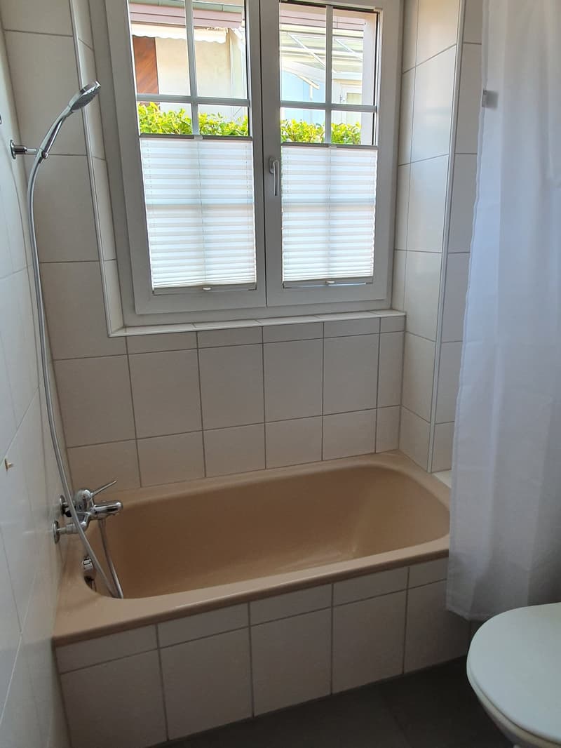 Sonnige, grosse 3 1/2- Zimmer-Wohnung mit Terrasse (4)