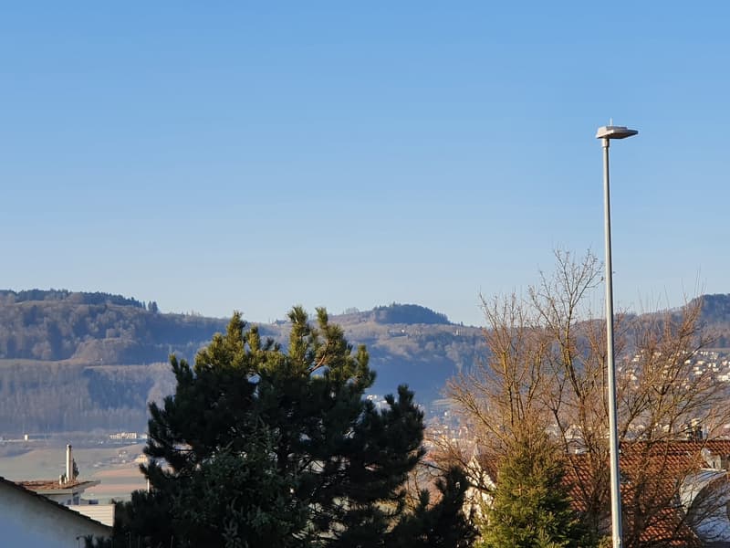 Sonnige, grosse 3 1/2- Zimmer-Wohnung mit Terrasse (13)
