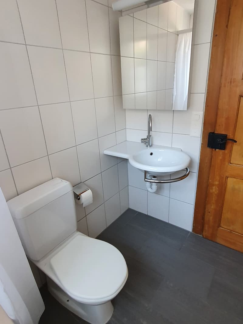 Sonnige, grosse 3 1/2- Zimmer-Wohnung mit Terrasse (5)