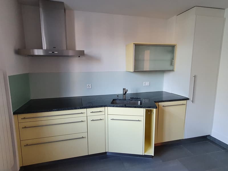 Sonnige, grosse 3 1/2- Zimmer-Wohnung mit Terrasse (2)