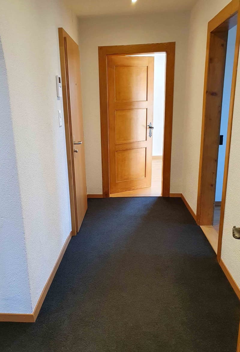 Sonnige, grosse 3 1/2- Zimmer-Wohnung mit Terrasse (6)