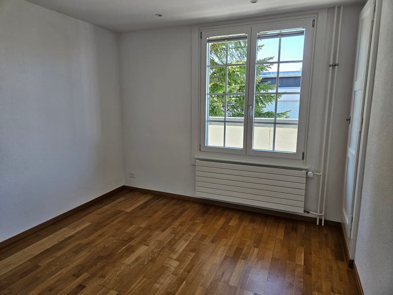 Sonnige, grosse 3 1/2- Zimmer-Wohnung mit Terrasse (8)