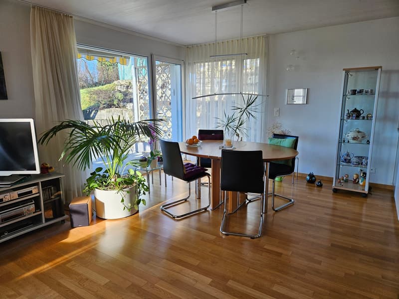 Freistehendes 5 1/2 Zimmer Einfamilienhaus mit Garage und Parkplatz (7)