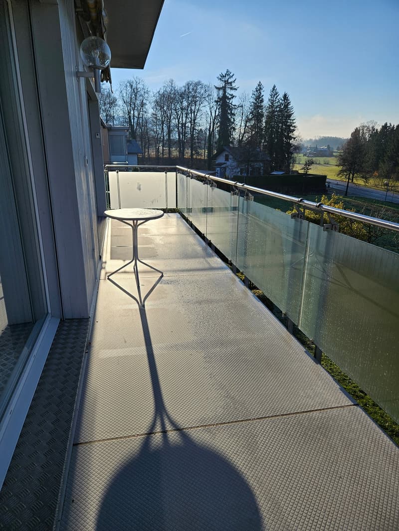 Freistehendes 5 1/2 Zimmer Einfamilienhaus mit Garage und Parkplatz (15)