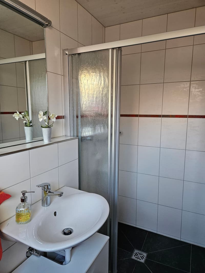 Freistehendes 5 1/2 Zimmer Einfamilienhaus mit Garage und Parkplatz (12)