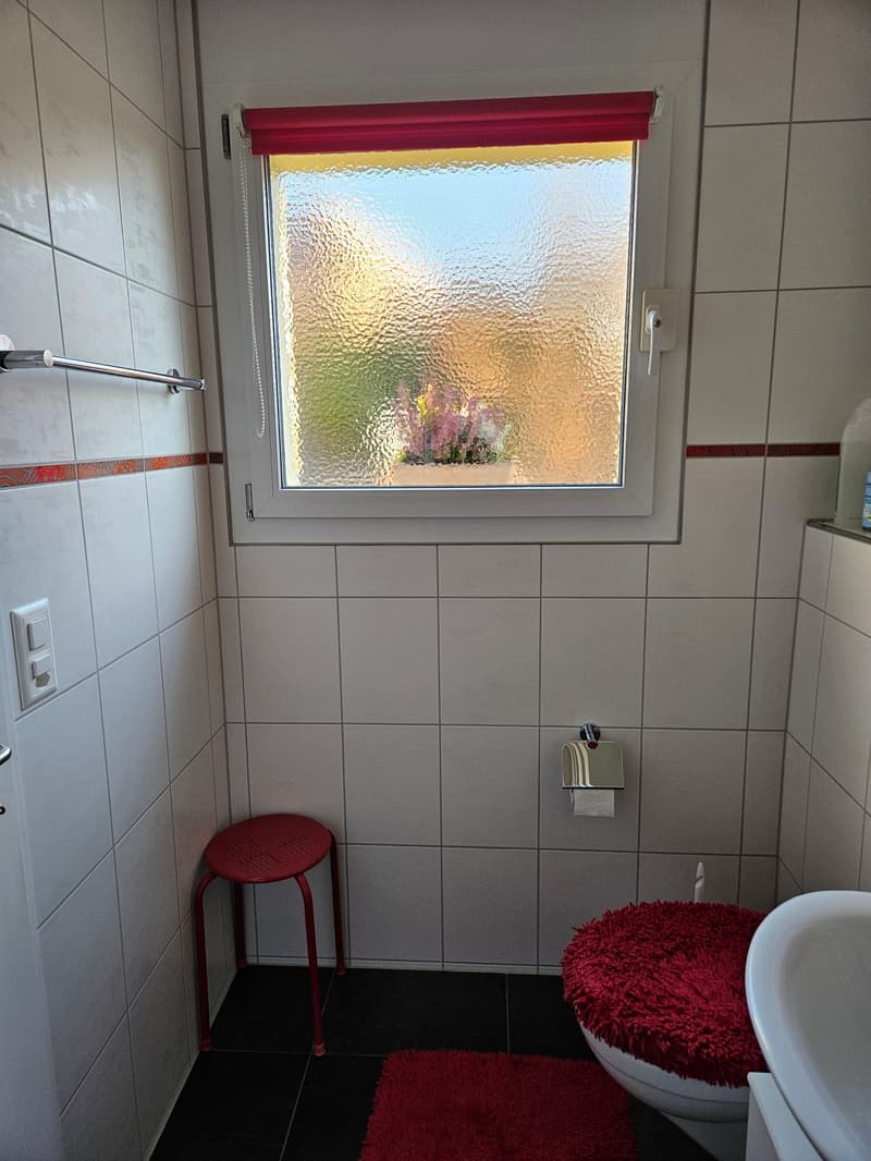 Freistehendes 5 1/2 Zimmer Einfamilienhaus mit Garage und Parkplatz (11)