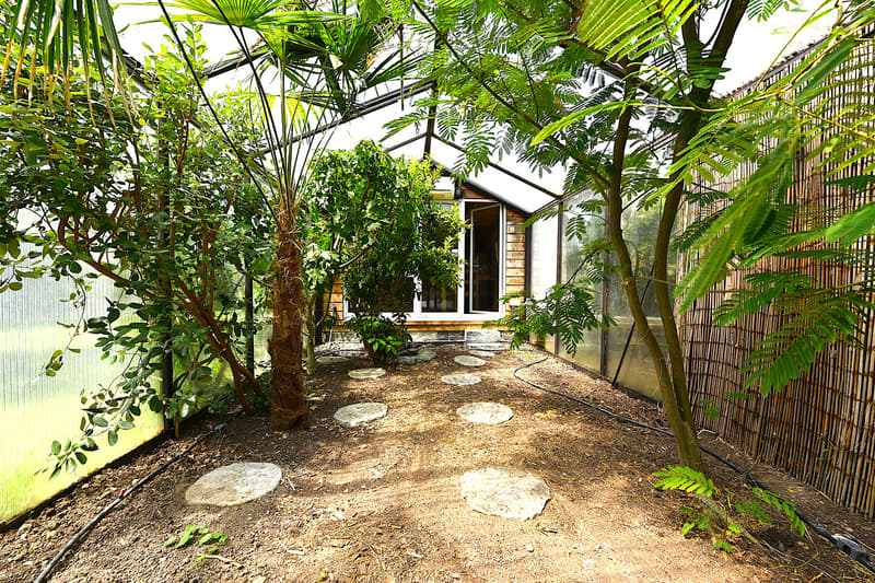 rock pathway, greenery, glass roof, wooden fence, wooden house