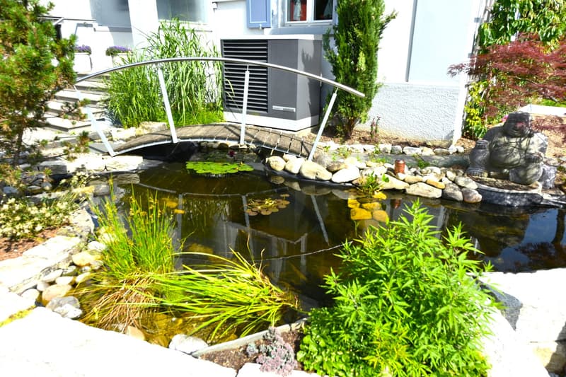Garten-Teich