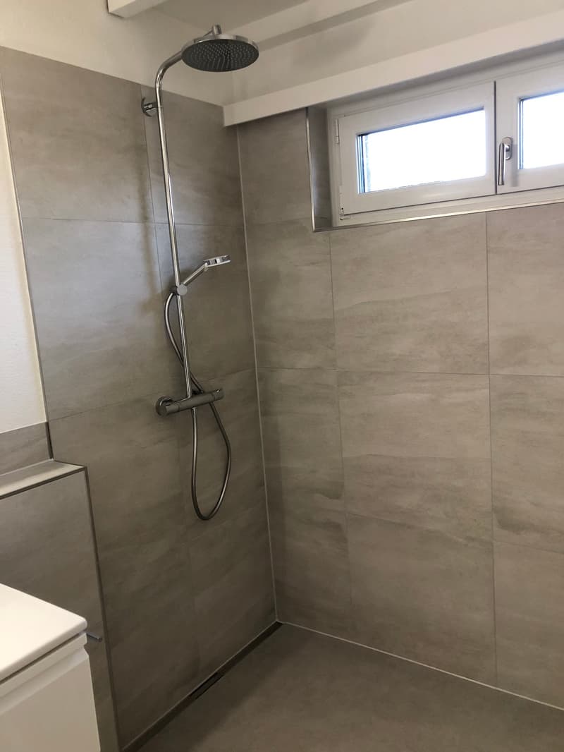 Teilsanierte und charmante Dachwohnung mit Balkon und Weitsicht (11)