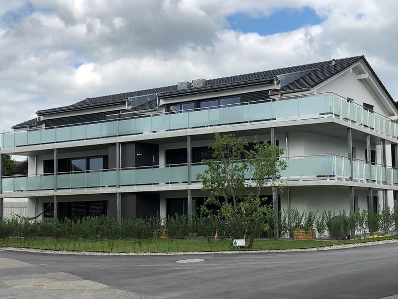 Moderne 3 ½-Zimmerwohnung mit grosser Terrasse (9)