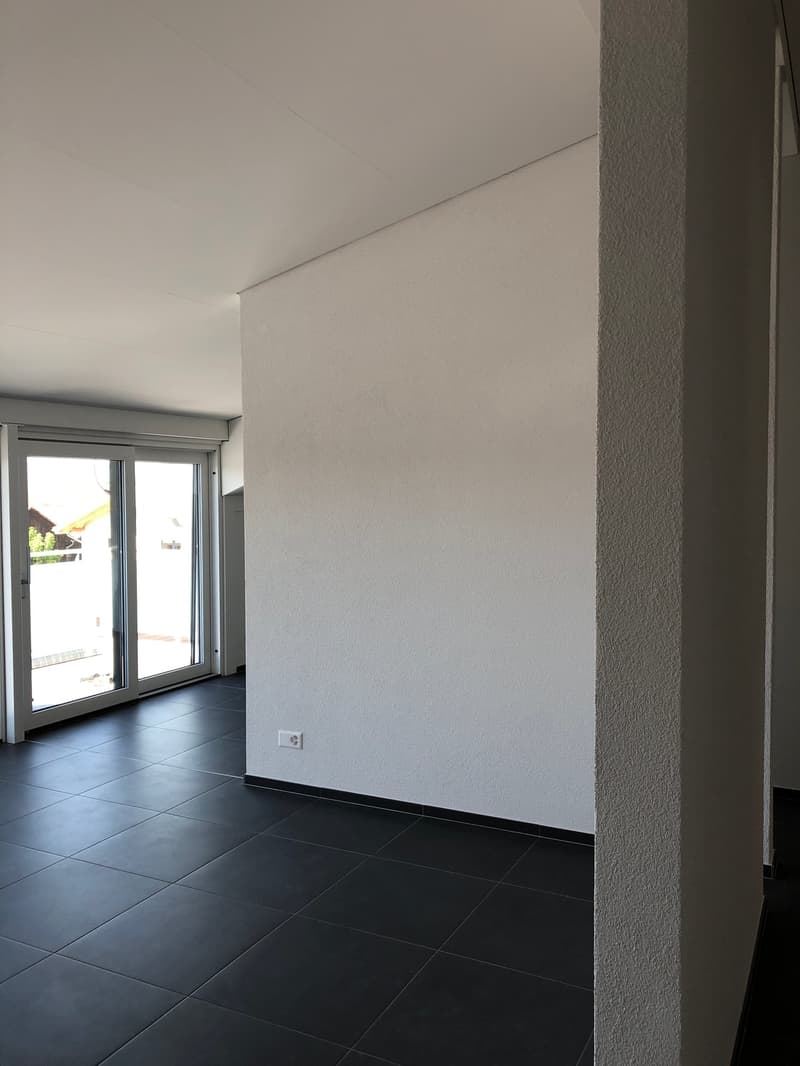 Moderne 3 ½-Zimmerwohnung mit grosser Terrasse (2)