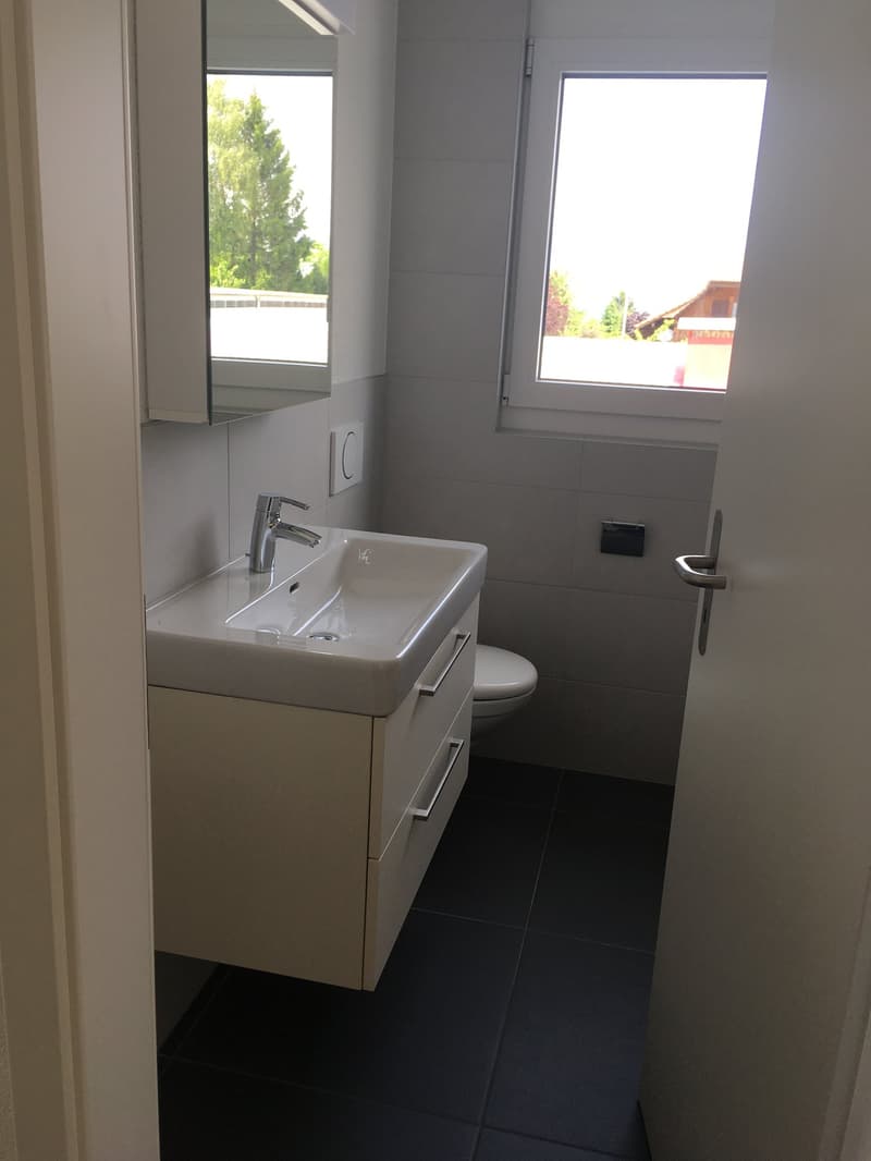 Moderne 3 ½-Zimmerwohnung mit grosser Terrasse (3)