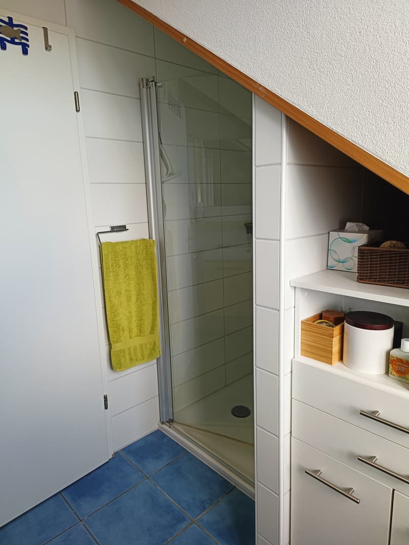 Helle 3 1/2-Zimmer-Dachwohnung mit Terrasse in Galmiz (10)