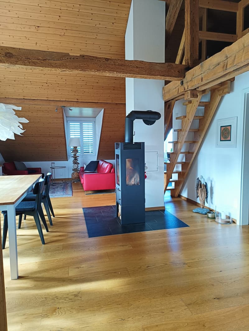 Helle 3 1/2-Zimmer-Dachwohnung mit Terrasse in Galmiz (5)