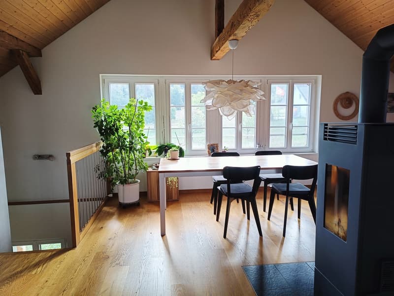 Helle 3 1/2-Zimmer-Dachwohnung mit Terrasse in Galmiz (6)
