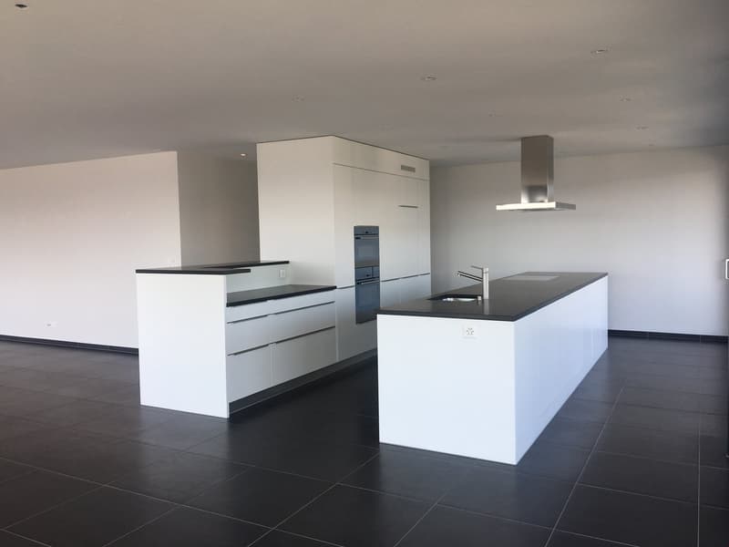 Exklusive Wohnung mit grosser Terrasse an zentraler Lage (1)