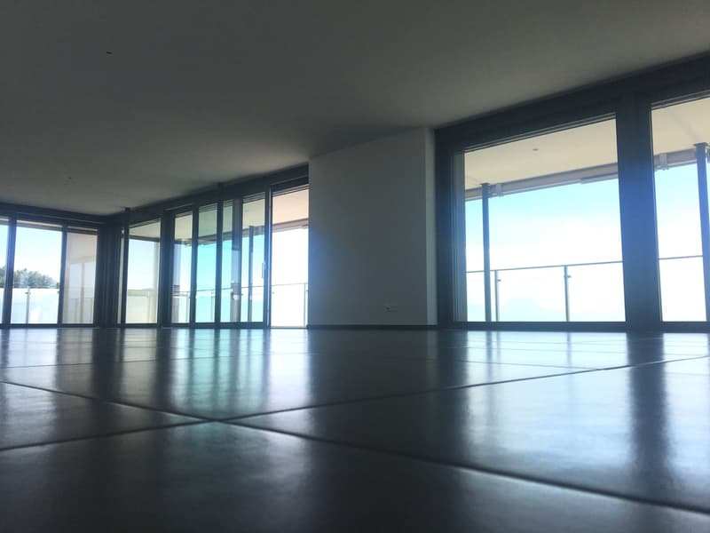 Exklusive Wohnung mit grosser Terrasse an zentraler Lage (5)