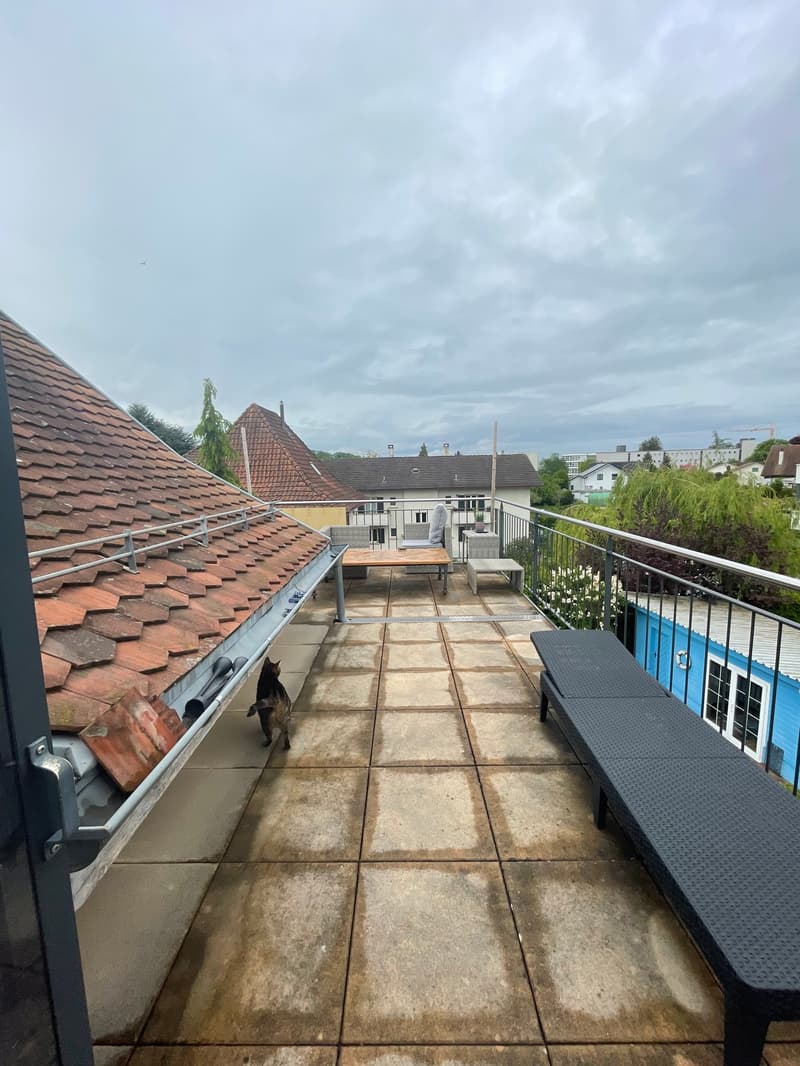 Charmante Dachwohnung mit grosszügiger Terrasse (8)