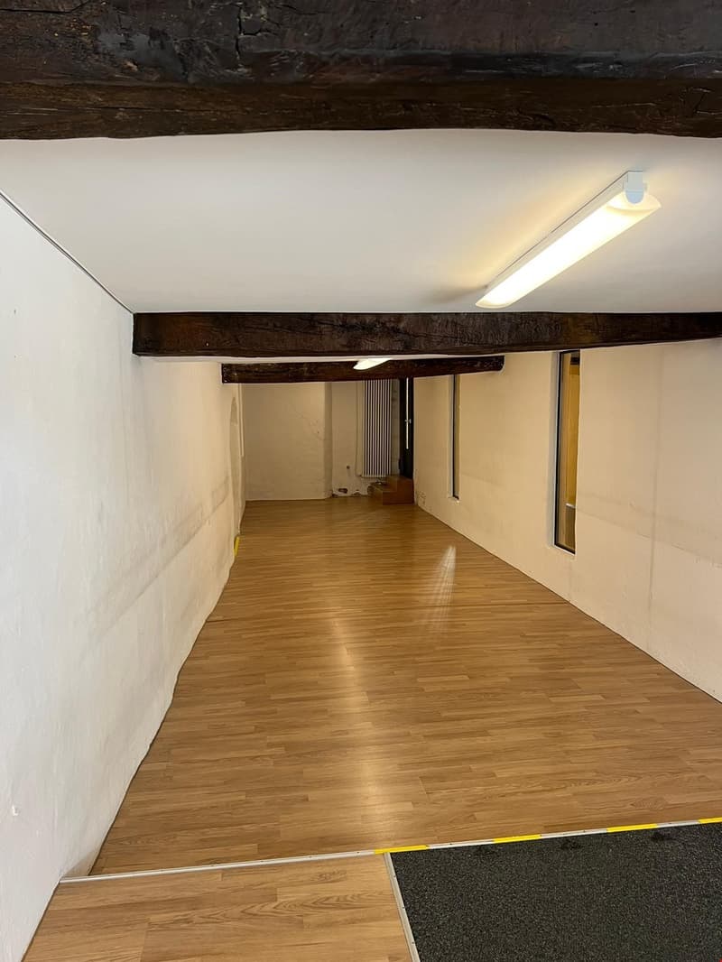 Basement hallway, wooden floors, 2 windows, white walls, fluorescent ceiling light, raised ground floor