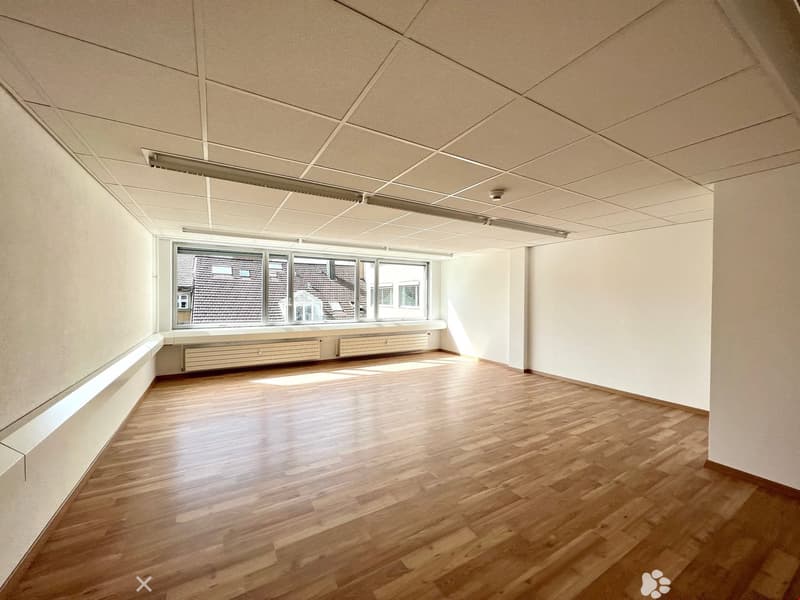 Empty room with wooden floors, windows, and ceiling lighting