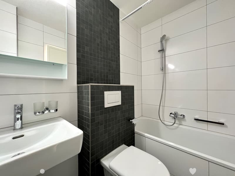 TOP sanierte - 3 1/2-Zwg mit Balkon im Mühlefeldquartier (3)