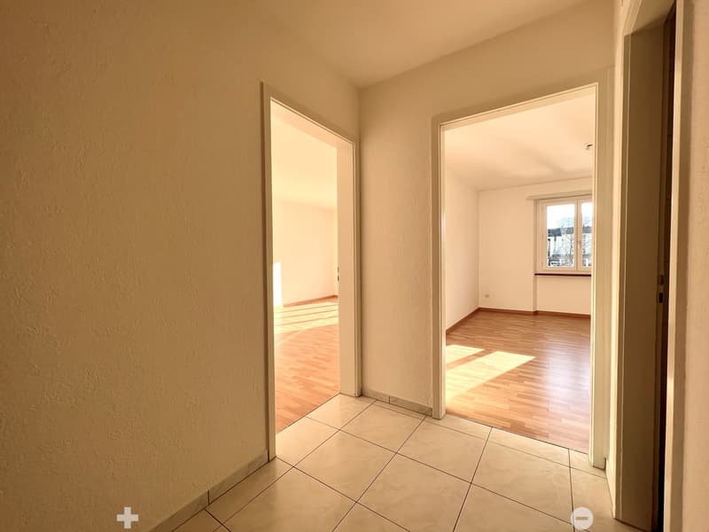 TOP sanierte - 3 1/2-Zwg mit Balkon im Mühlefeldquartier (5)