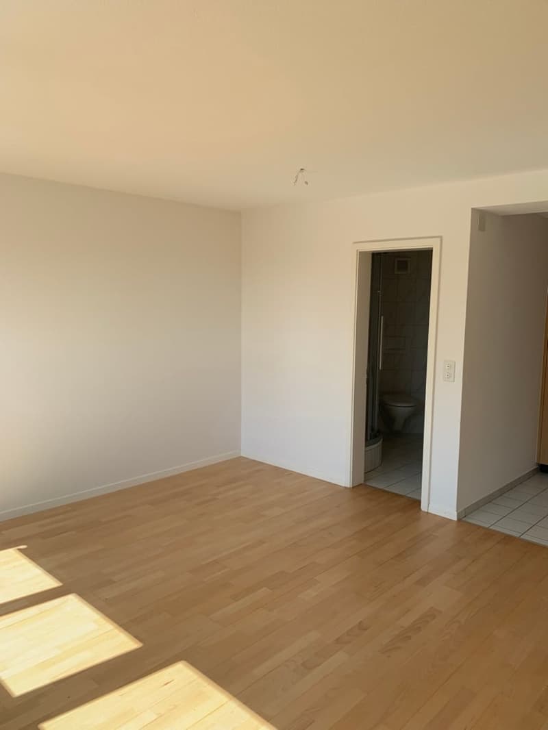 MUST HAVE - Studio with terrace for single use (2)