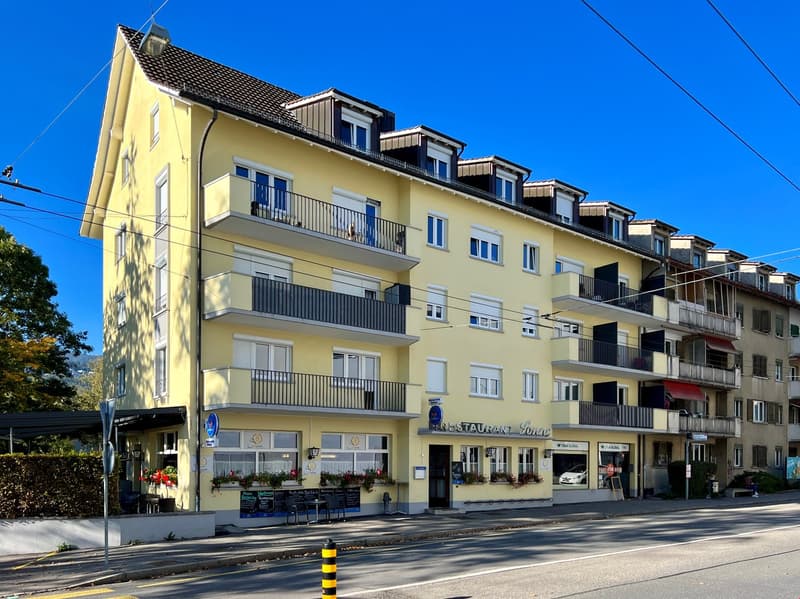 Living after total renovation (7)