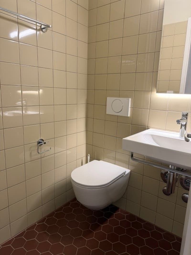 Vivre à Stedtli Nidau - appartement 1 pièce partiellement rénové (2)