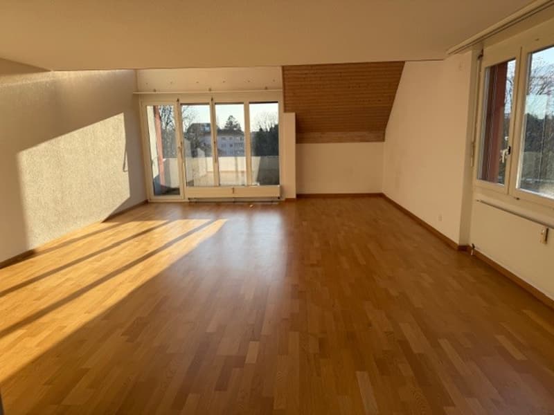 empty room, wooden floor, large windows, sliding glass doors, wooden ceiling