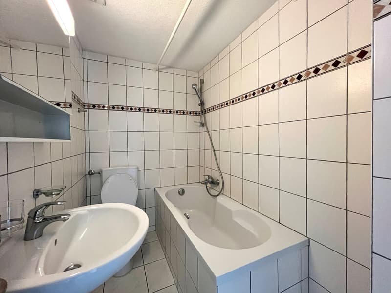 Renovierte 2-Zwg an ruhiger Lage im Einfamilienhausquartier (6)