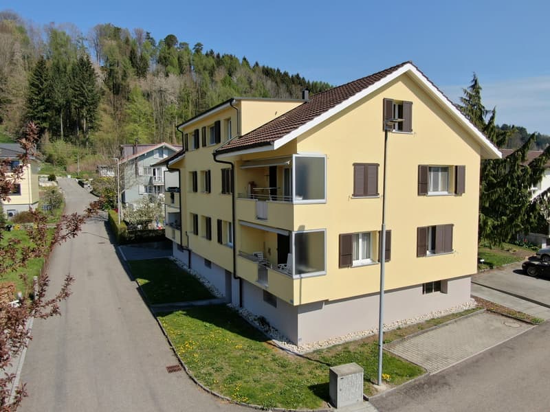 Renovierte 2-Zwg an ruhiger Lage im Einfamilienhausquartier (1)