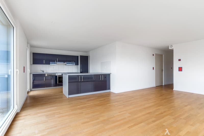 4.5 Zimmer Attika-Wohnung mit Panoramablick (4)