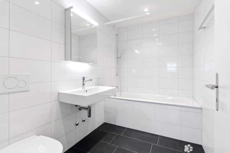4.5 Zimmer Attika-Wohnung mit Panoramablick (7)
