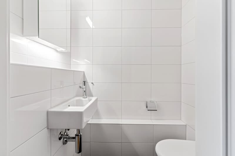 4.5 Zimmer Attika-Wohnung mit Panoramablick (8)