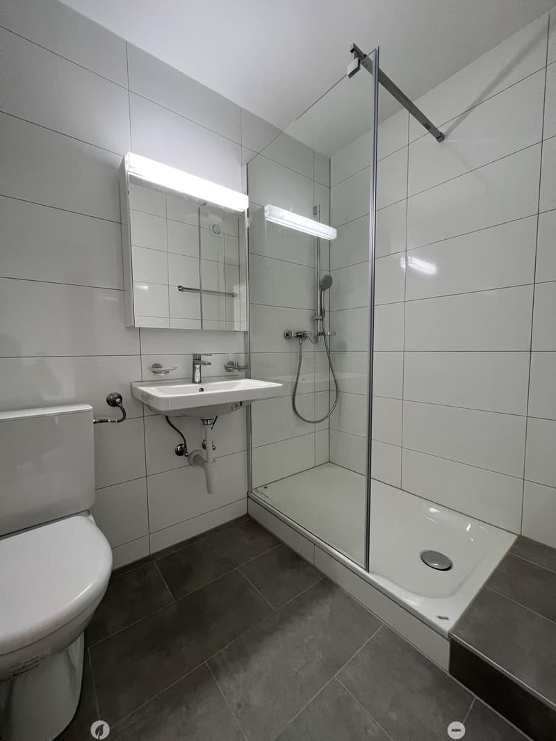 Komplett sanierte 1 1/2-Zwg offene Küche und Balkon (5)
