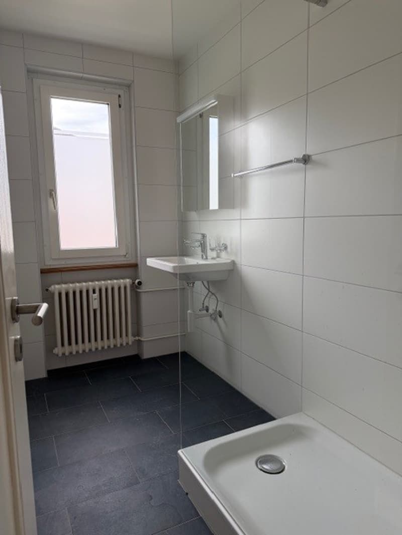 Charmante 4-Zimmer-Altbauwohnung mit Balkon und Seeblick in Biel (9)